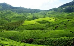 Munnar 2 Days Tour Package